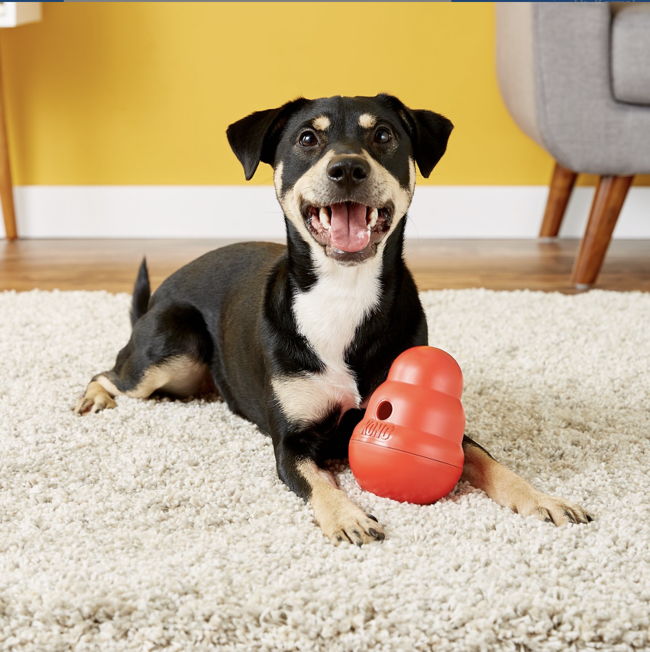 Photo of dog playing with Kong Wobbler