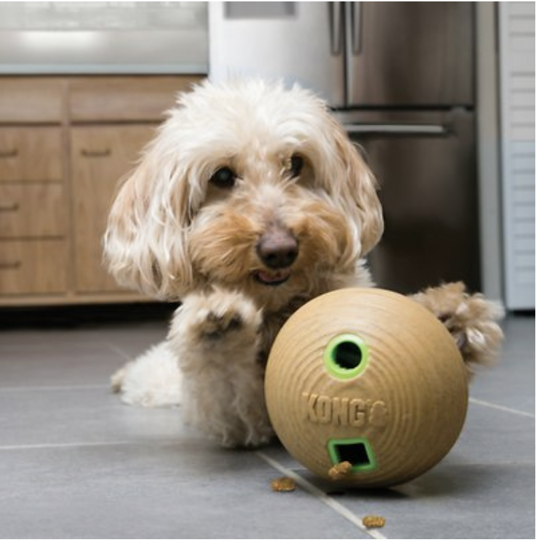 Photo of dog playing with Kong Bamboo Feeder Ball