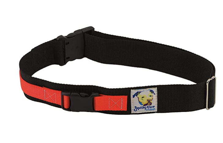 Training Equipment:  Photo of Hands-free Leash System