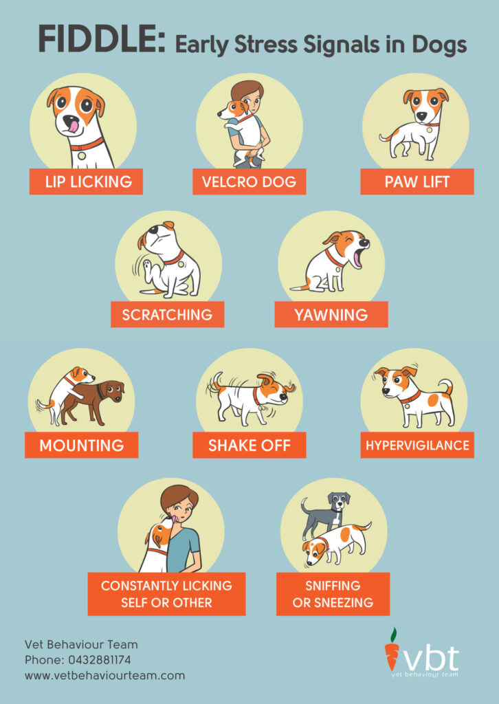 Dog Training Manuals That You Can Trust