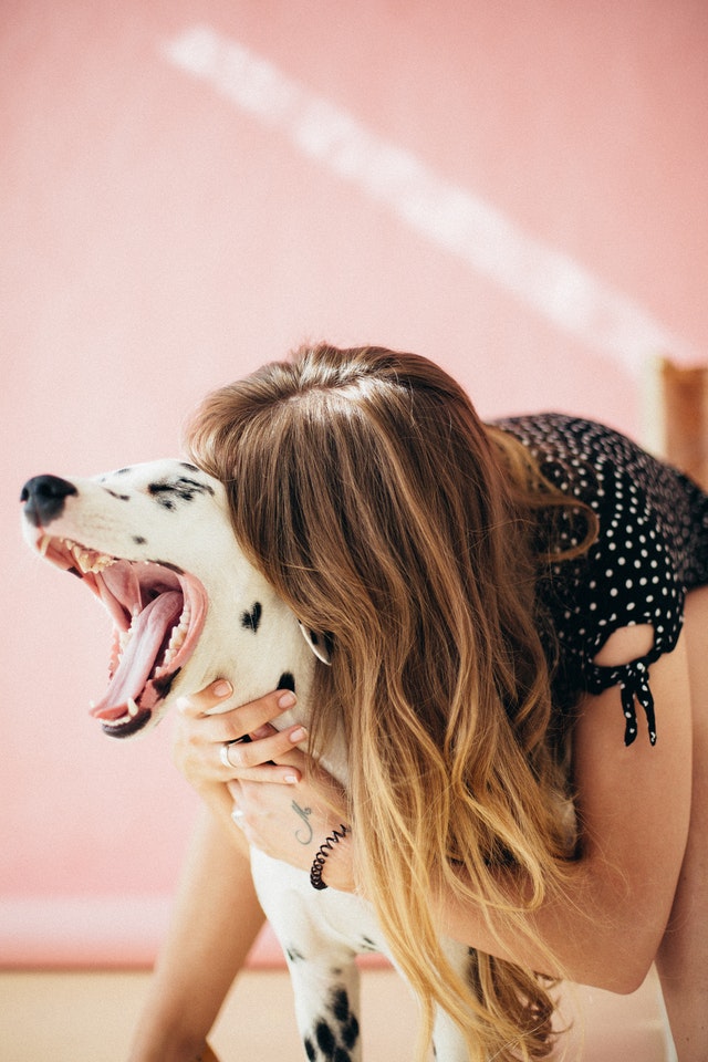 Canine Body Language - stressed