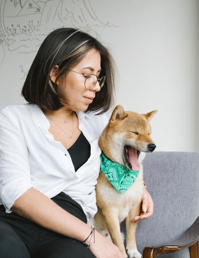 Canine Body Language - yawn