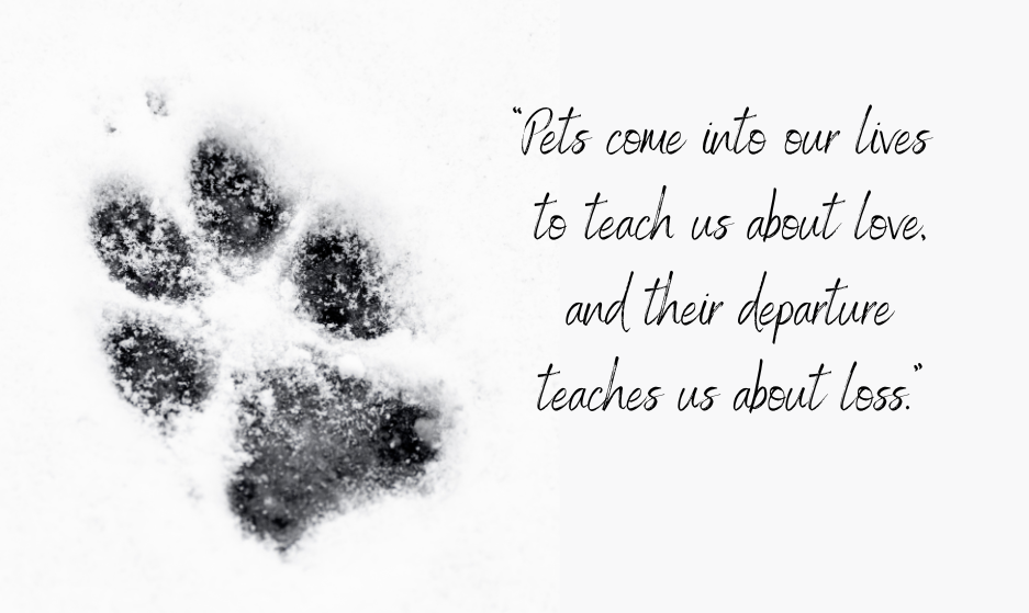 Pet loss poem  "Pets come into our lives to teach us about love, adn their departure teaches us about loss."