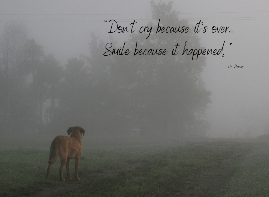 Pet loss poem  "Don't cry because it's over.  Smile Because it happened" by Dr. Suess.