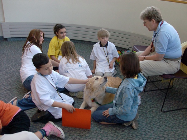 Therapy animals do not have the same public access privileges as service support animals.