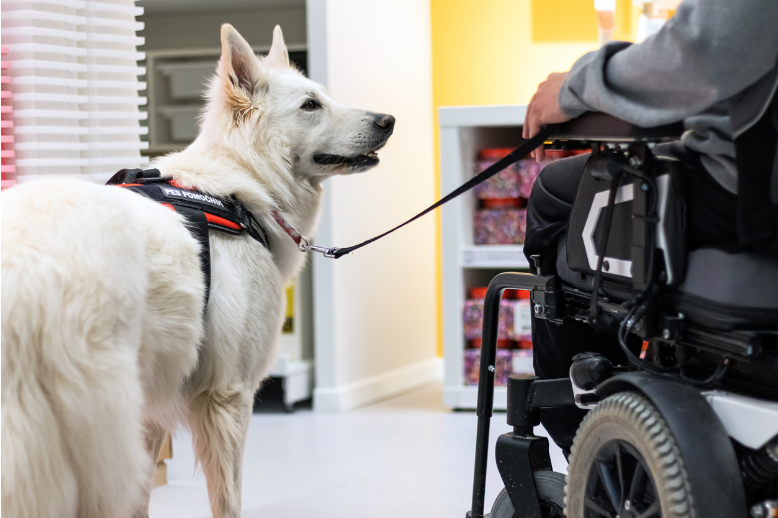 Service animals perform a task or tasks for a specific person.